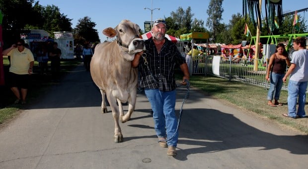 Kings Fair 2009